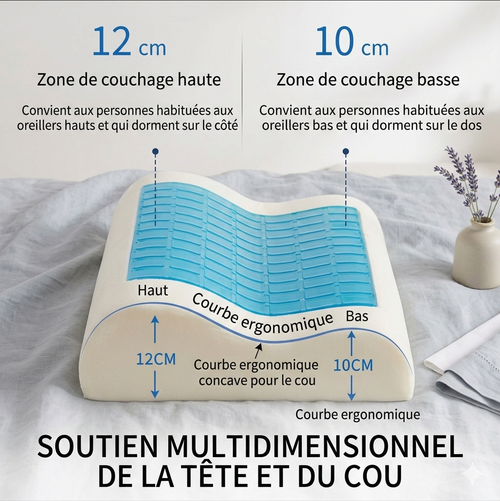 L’Expert Sommeil : Oreiller Ergonomique Cryo-Gel & Mousse à Mémoire Premium